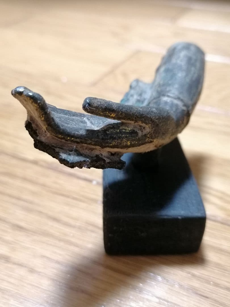 佛の手 救いの手