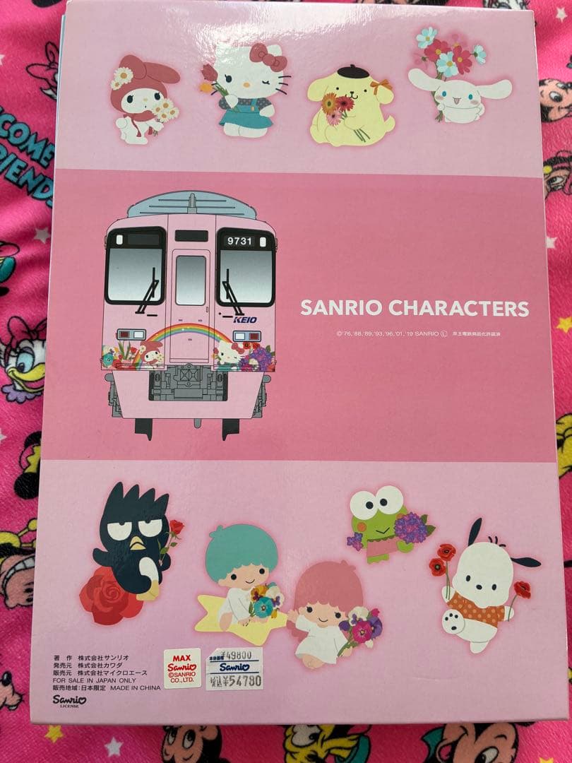 T*D様 京王9000系 『サンリオキャラクターズフルラッピングトレイン』10両