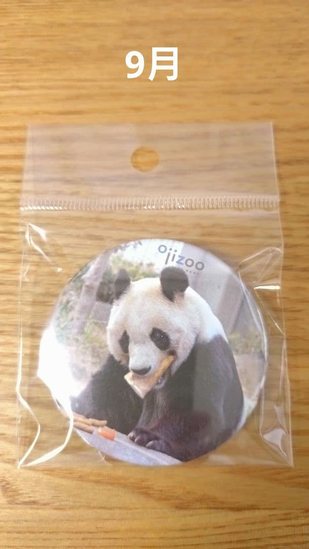 タンタン　缶バッジ　9個セット