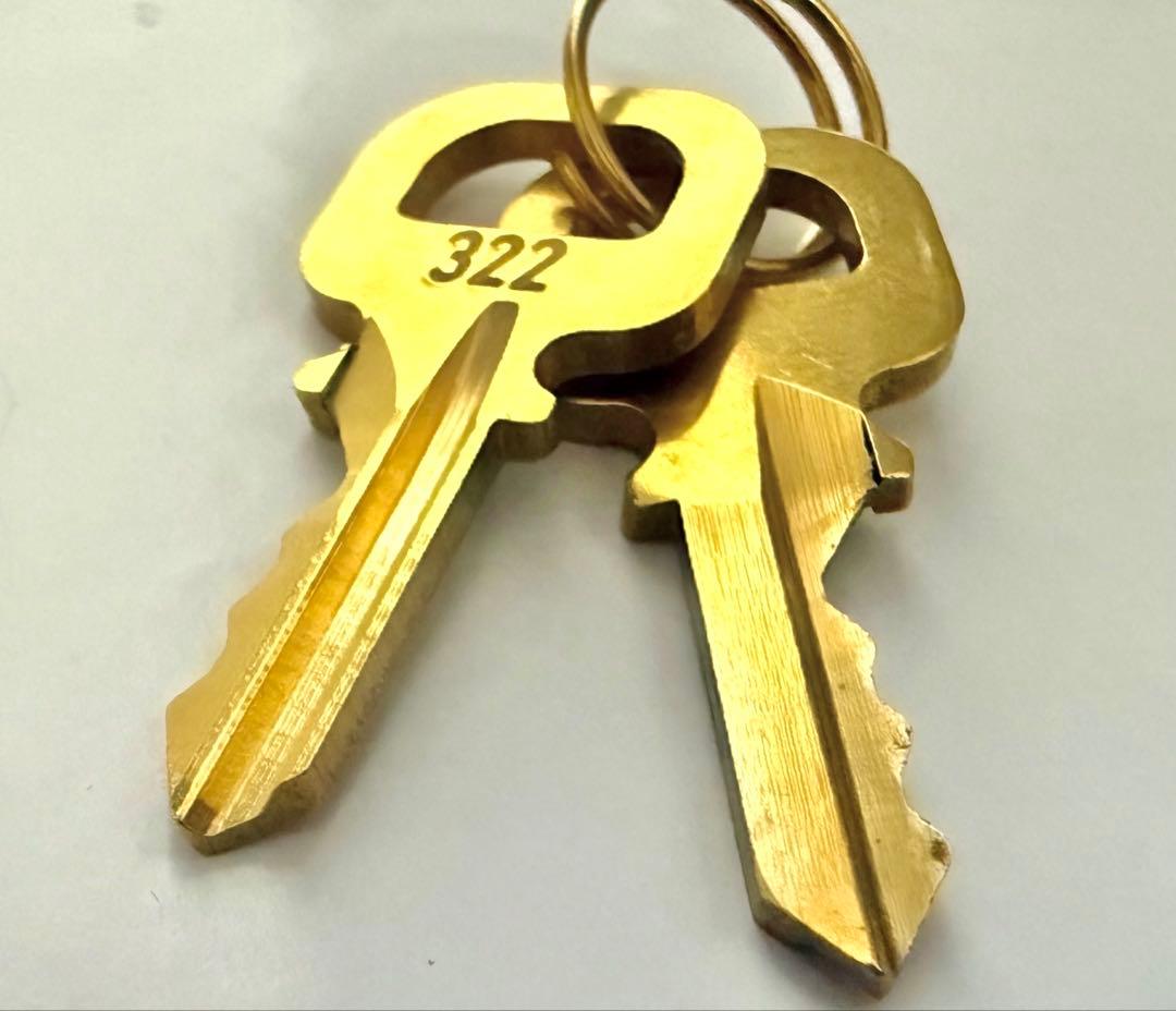 ✨極美品✨ LOUIS VUITTON 南京錠 パドロックカデナ＆喜平ネックレス