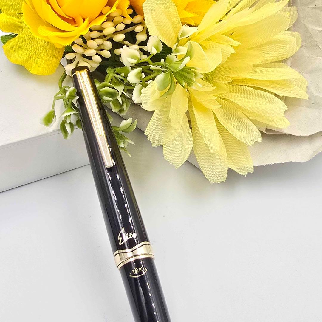 PILOT パイロットElite エリート 18K-750 ニブ 筆記未確認