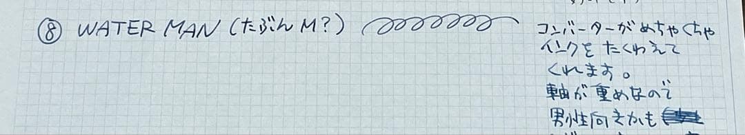 WATERMAN IDEAL PARIS 18K 750 万年筆+カートリッジ