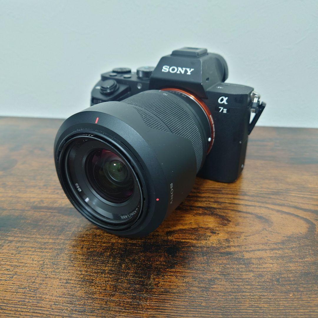 SONY α7ii ミラーレスカメラ ほぼジャンク 写真撮影可能です