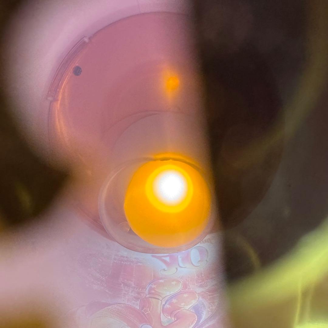 リボン　東京ディズニーリゾート 40周年 ミニー　デイジー ポップコーンバケット