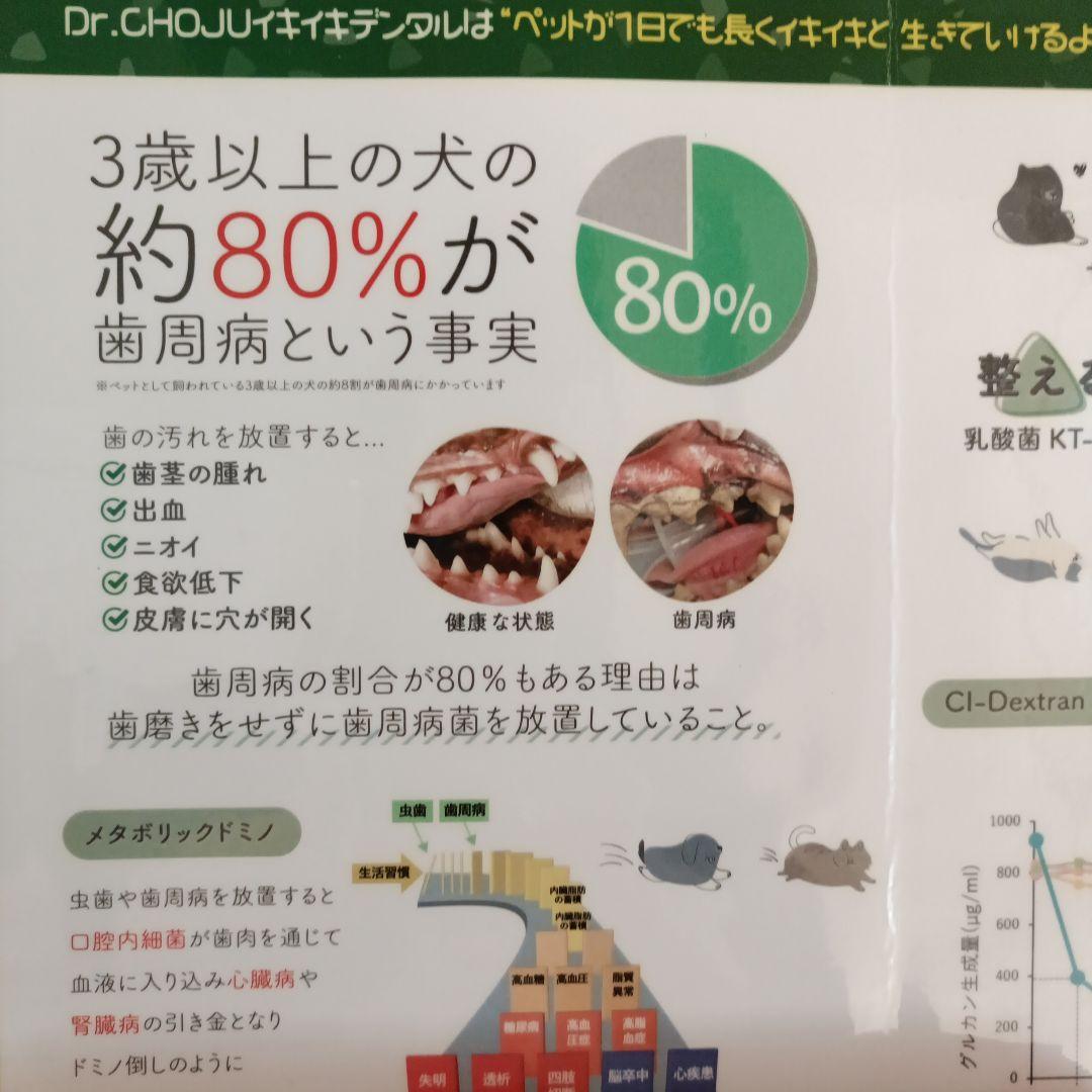 いきいきデンタル　10本セット