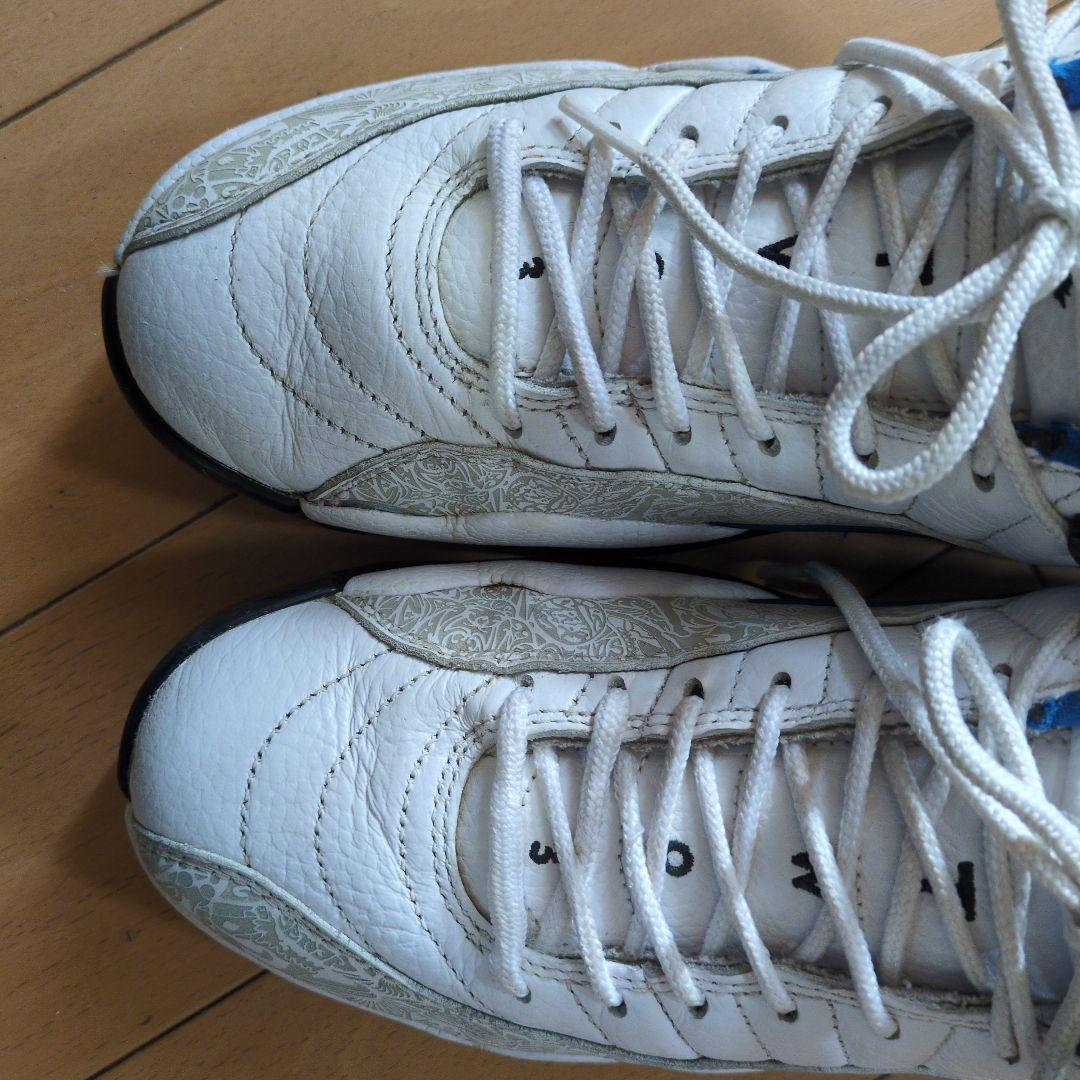 Jordan 12 ゴルフ ジョーダン 25.5cm (26cm)