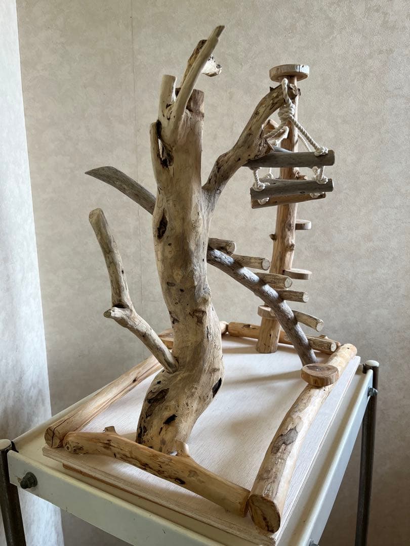 鳥インコ止まり木バードジムバードアスレチック卓上型