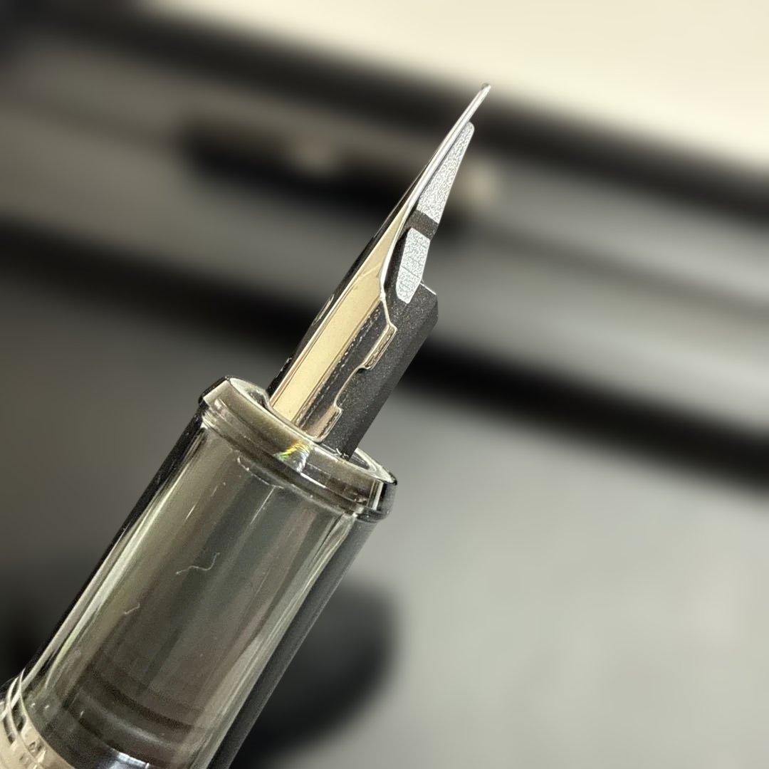 【限定生産品】PLATINUM PROCYON LUSTER ナミニチドリ①