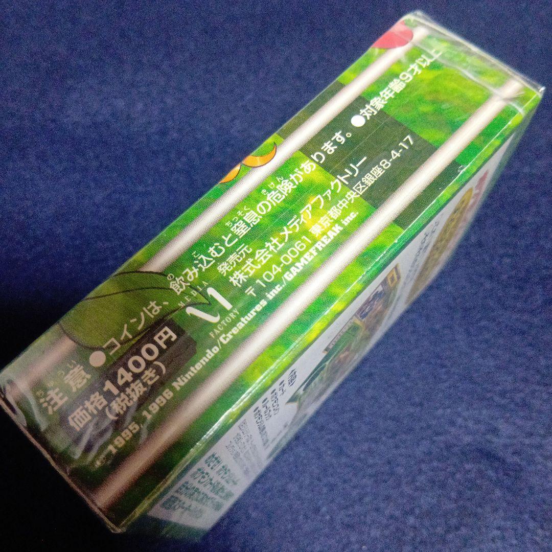 タマムシシティジム　エリカ