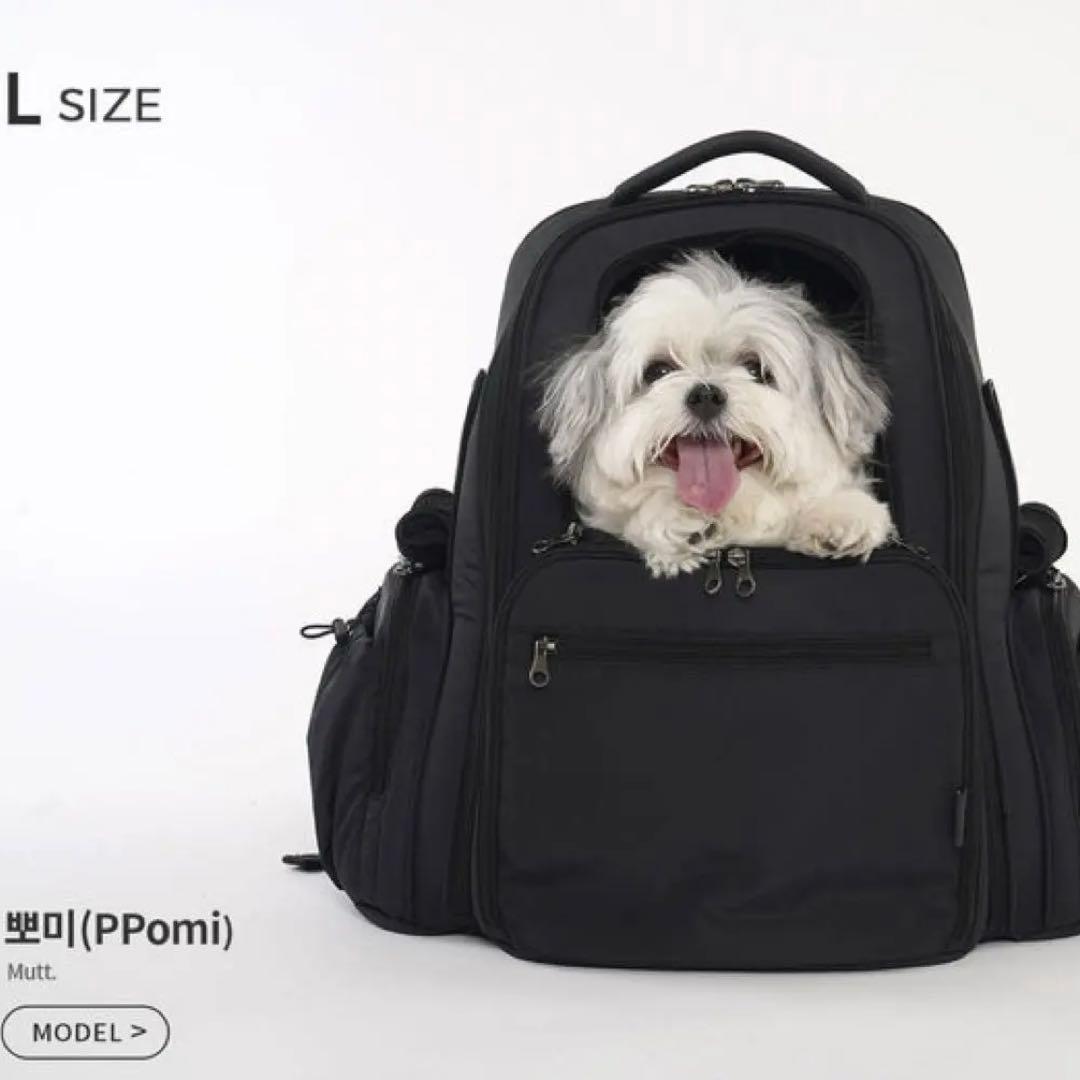 ssoook バックパックLサイズ