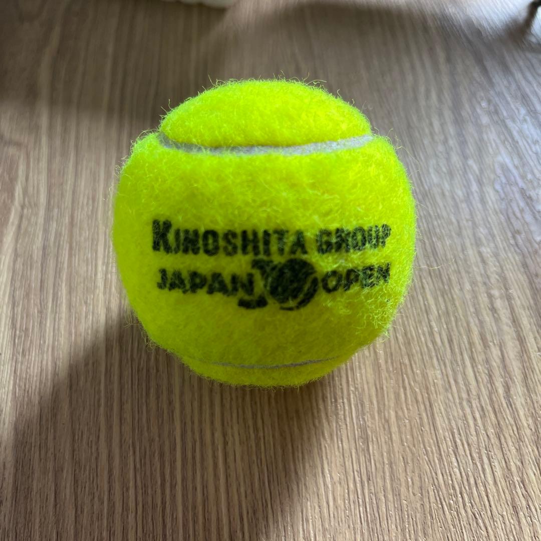 japan open 2023 finalジャパンオープン2023決勝ボール