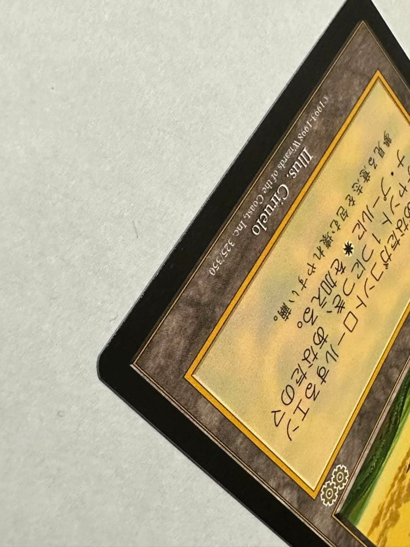 セラの聖域　【美品】