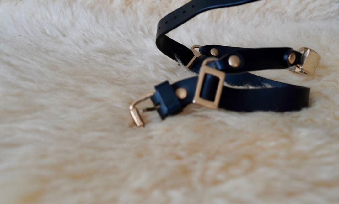 レア Jimmy Choo ドッグハーネス ジミーチュウ 犬用 ハーネス