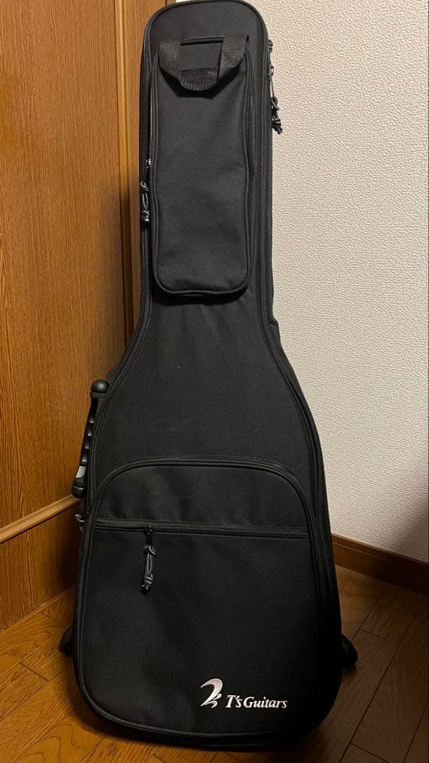 ギター T's guitars DST 24