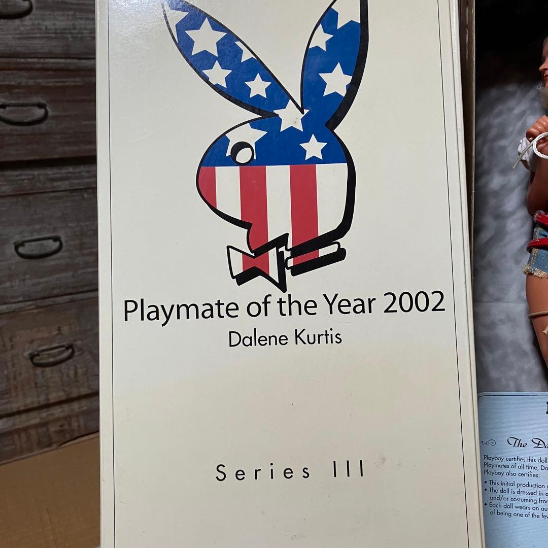 プレイボーイプレイメイト・オブ・ザ・イヤー 2002 ダリーン・カーティス