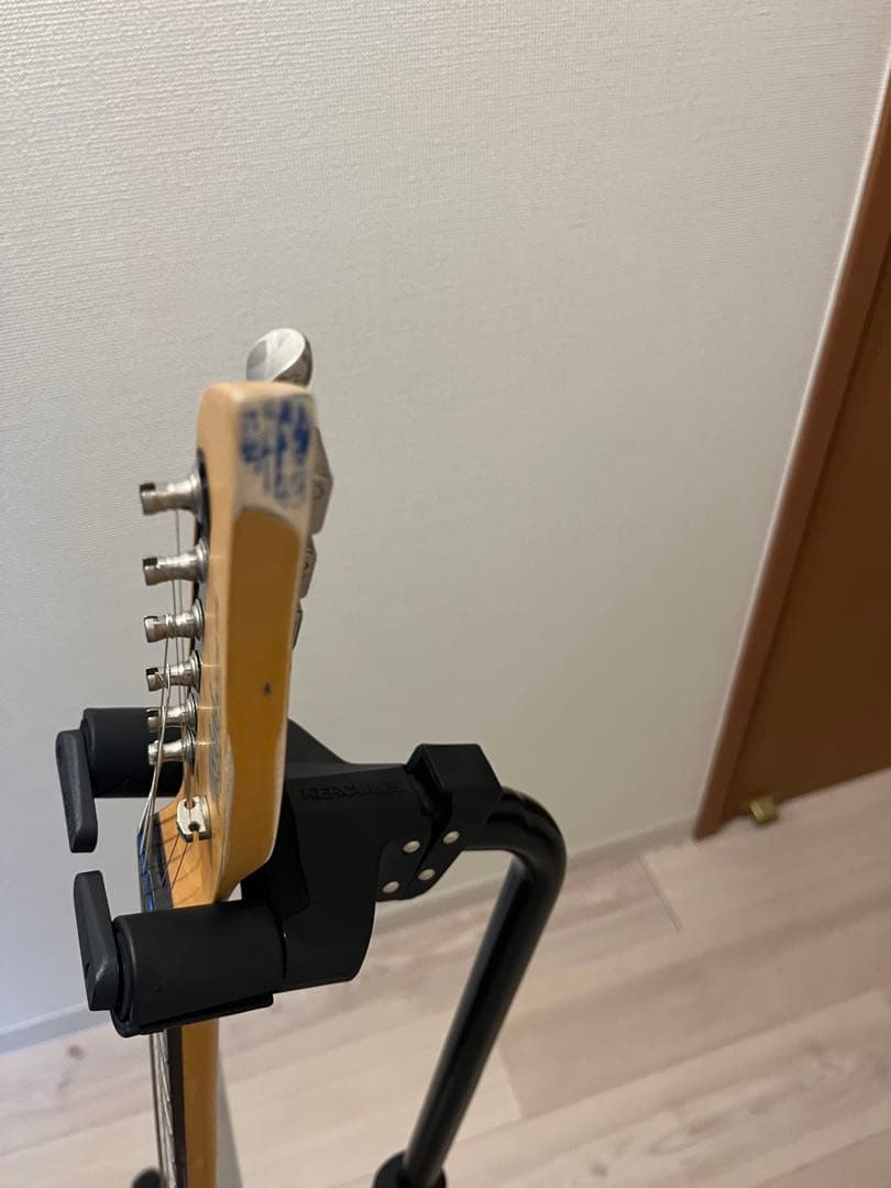 ひらさわさん専用自作tokai talbo タルボ風