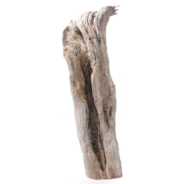 流木 インテリア レイアウト 51cm DIY 流木アート 天然 rybk9