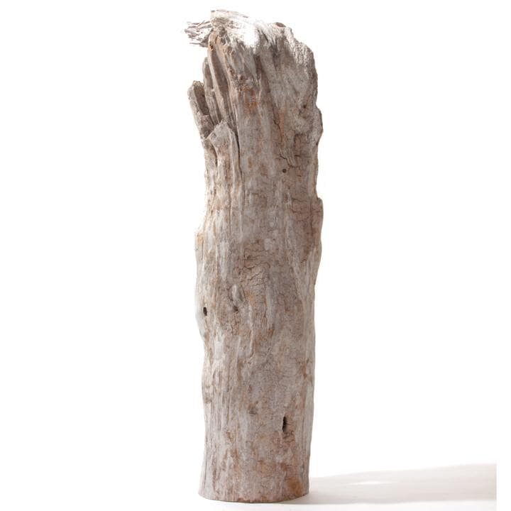 流木 インテリア レイアウト 51cm DIY 流木アート 天然 rybk9