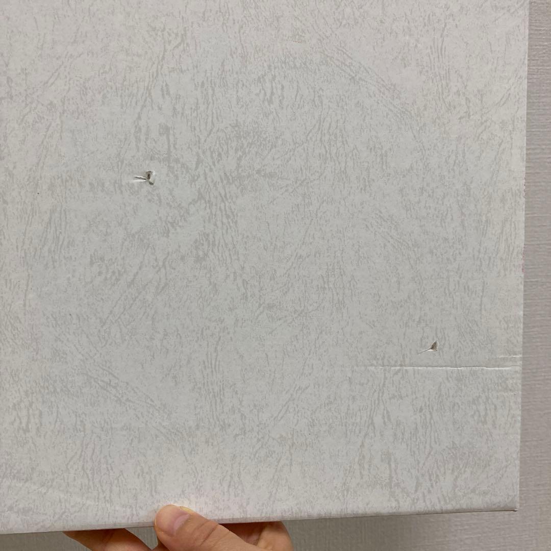 ONE PIECE 高級複製原画