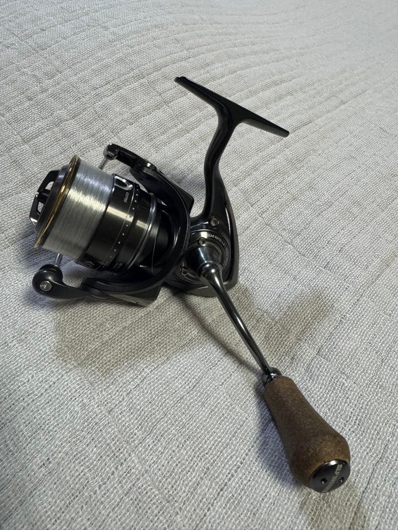 ダイワ STEEZ type-II