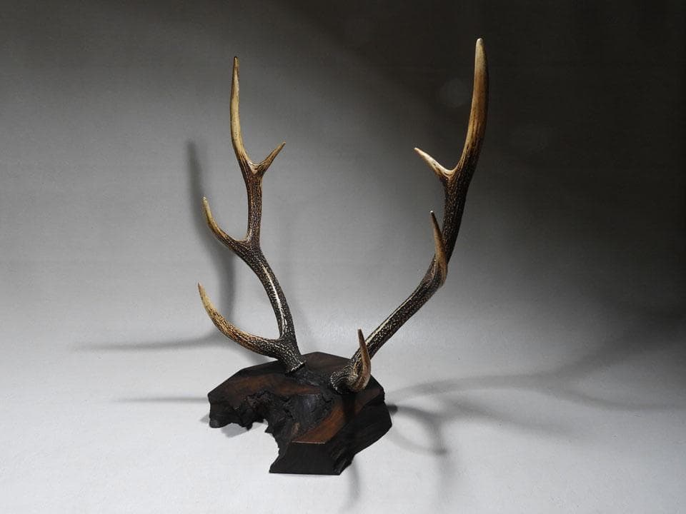 ●逆賊の幕臣 小栗忠順 小栗上野介忠順 所要 墨書 鹿角 刀掛け 三刀掛け 幕末