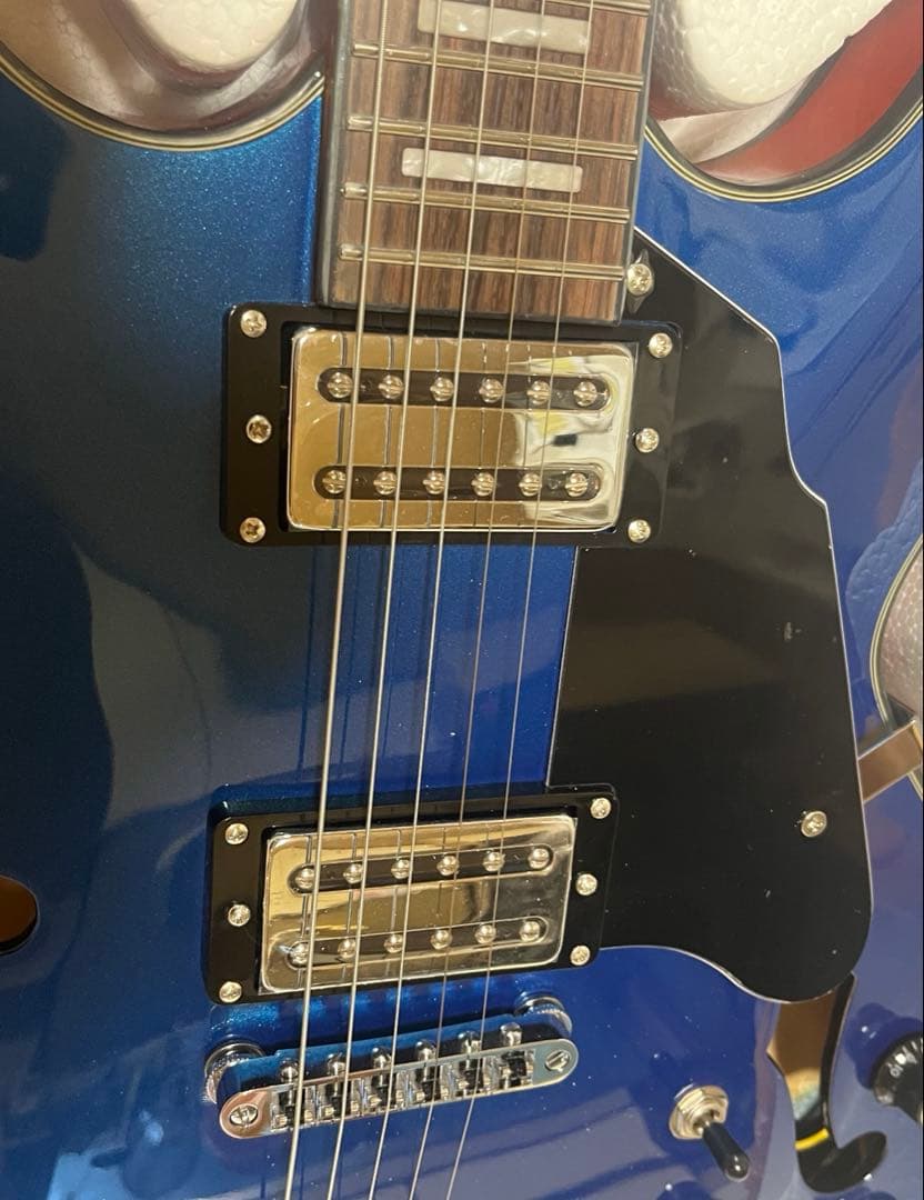 セミホロウボディ ステンレスフレット メタルフィニッシュ(ブルー)