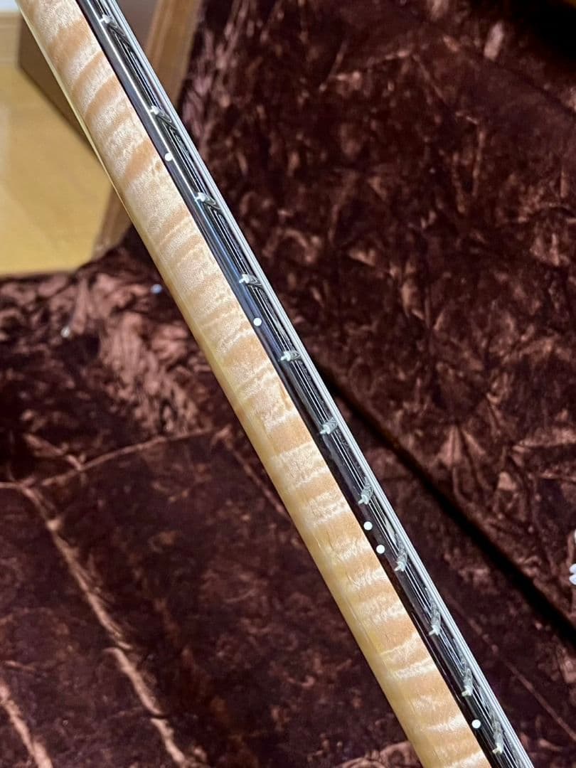 ギター Paul Reed Smith Private Stock Custom 24