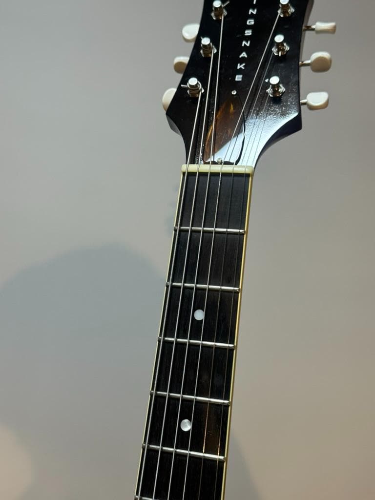 ギター KING SNAKE Curtis / H Deep Body