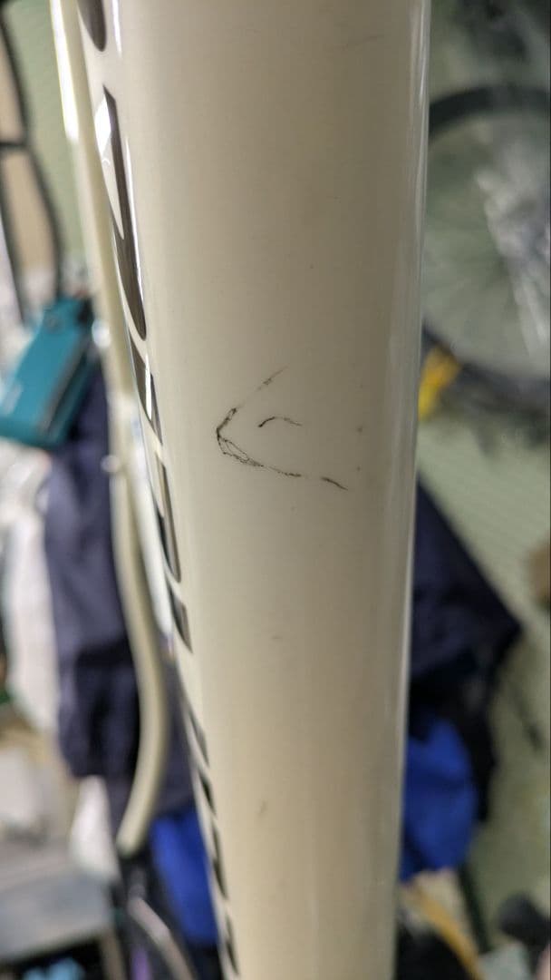 アレーエリート　サイズ56cm