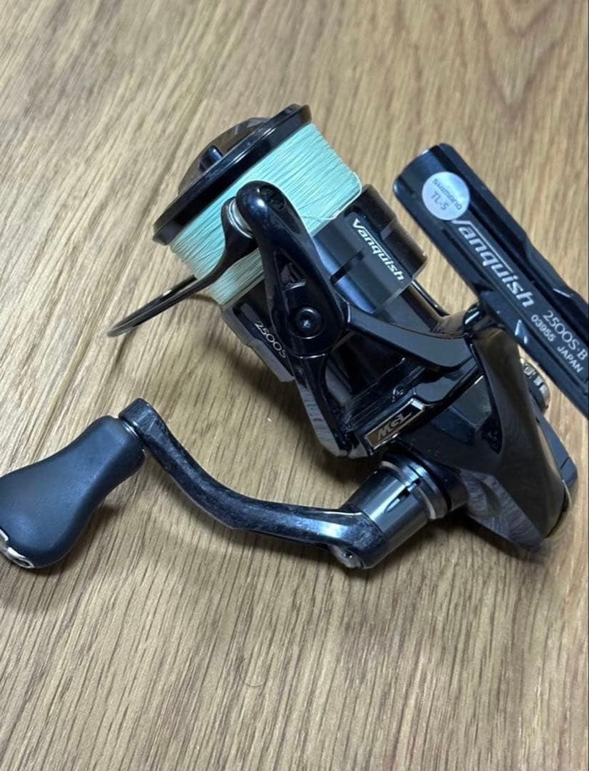 19ヴァンキッシュ　2500番　2500S オーバーホール済