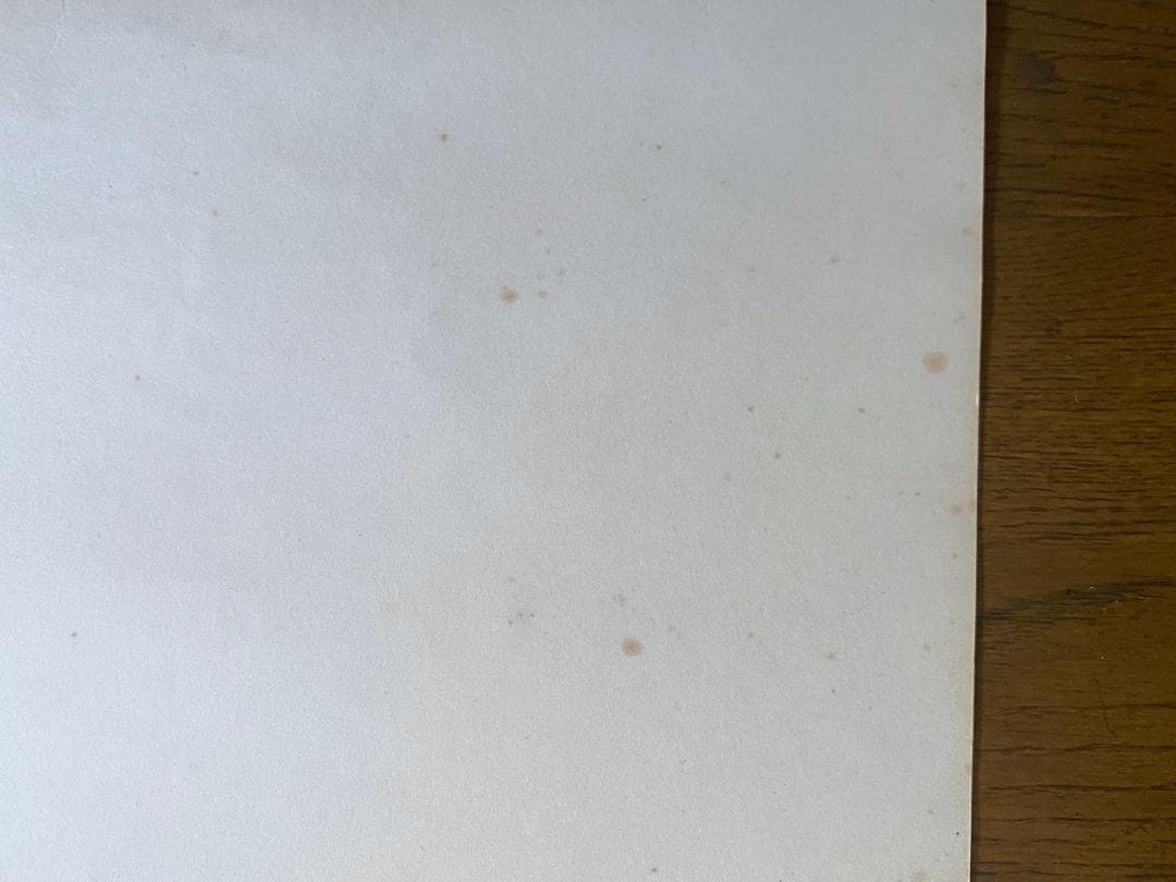 レ*オ様 横尾忠則　ポスター「AMAZON、アマゾン」 1989年