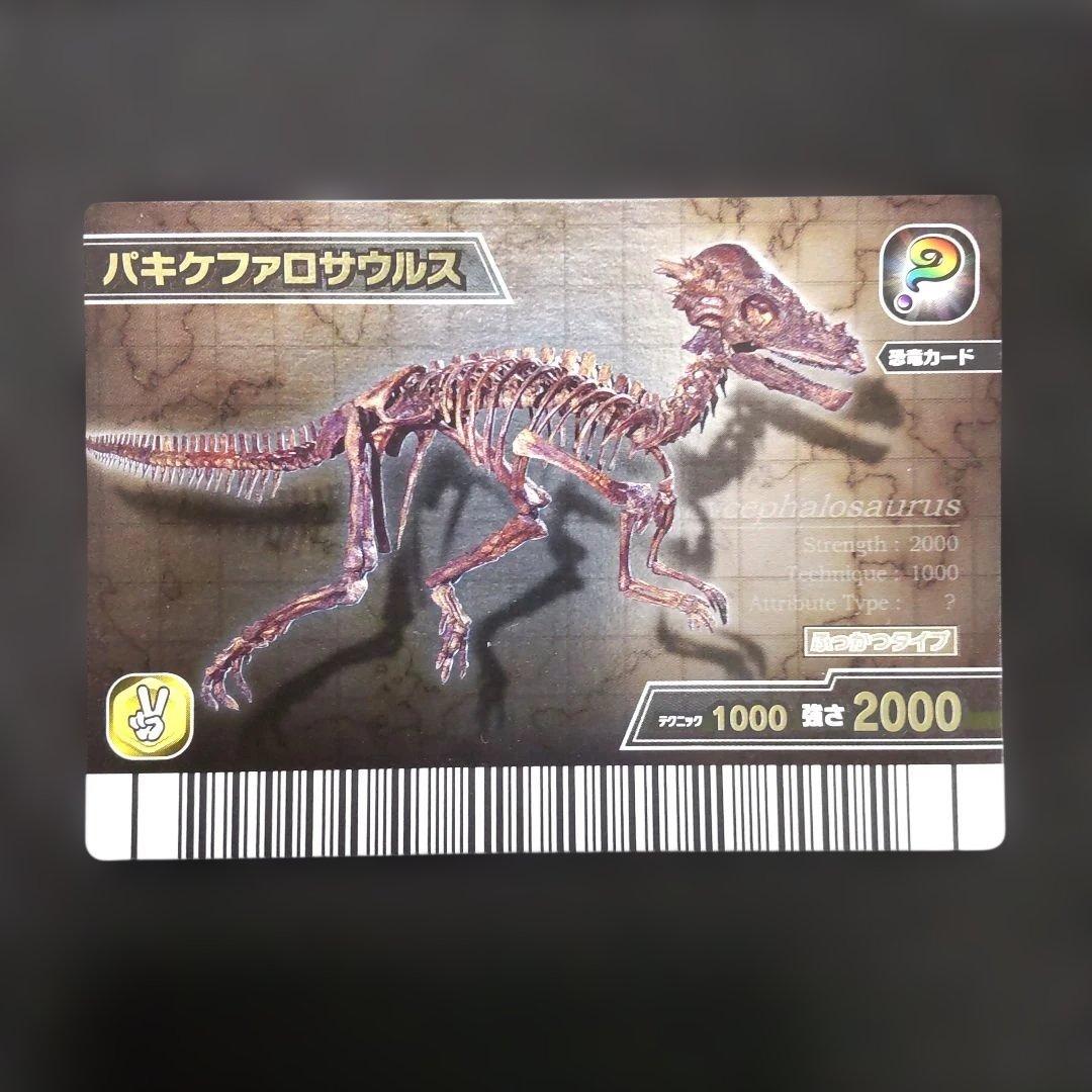 古代王者恐竜キング パキケファロサウルス 化石 シークレット