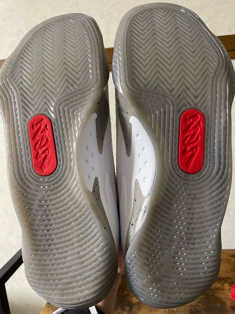 【新品・未使用】NIKE JORDAN ZION 3 PF バッシュ 迷彩　白