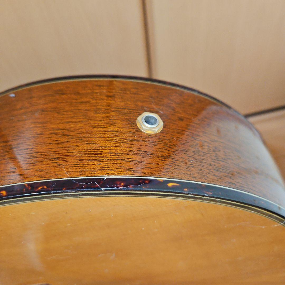 【エレアコ】The Sandpiper Deluxe アコースティックギターです