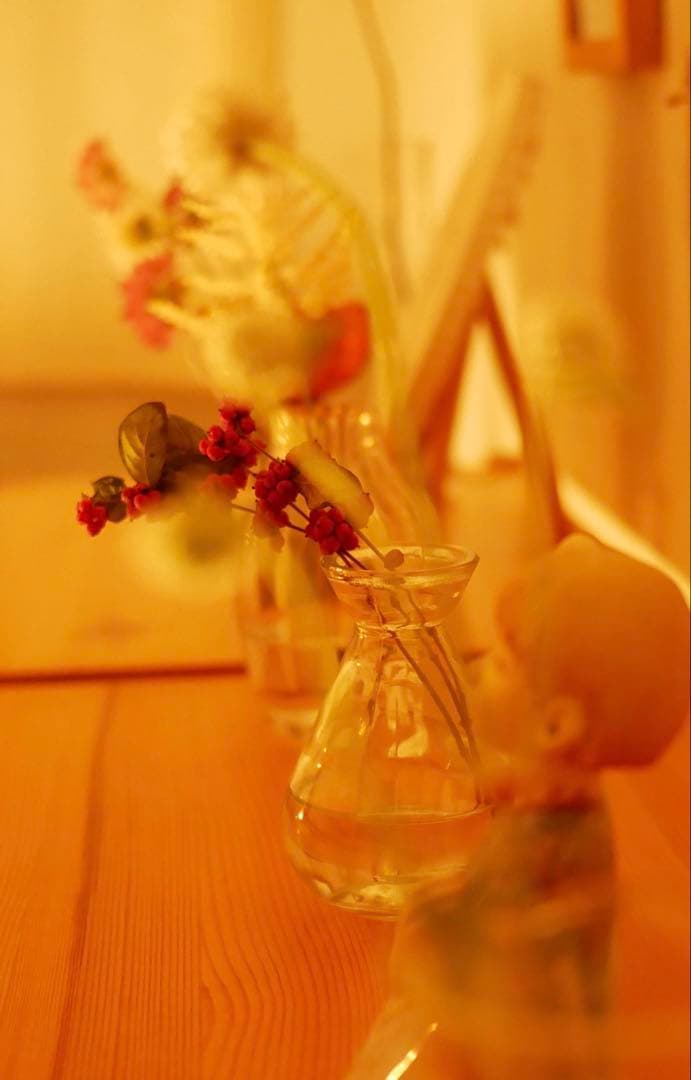 Panasonic LUMIX DC-GF10一式と単焦点レンズ （レンズ３個）