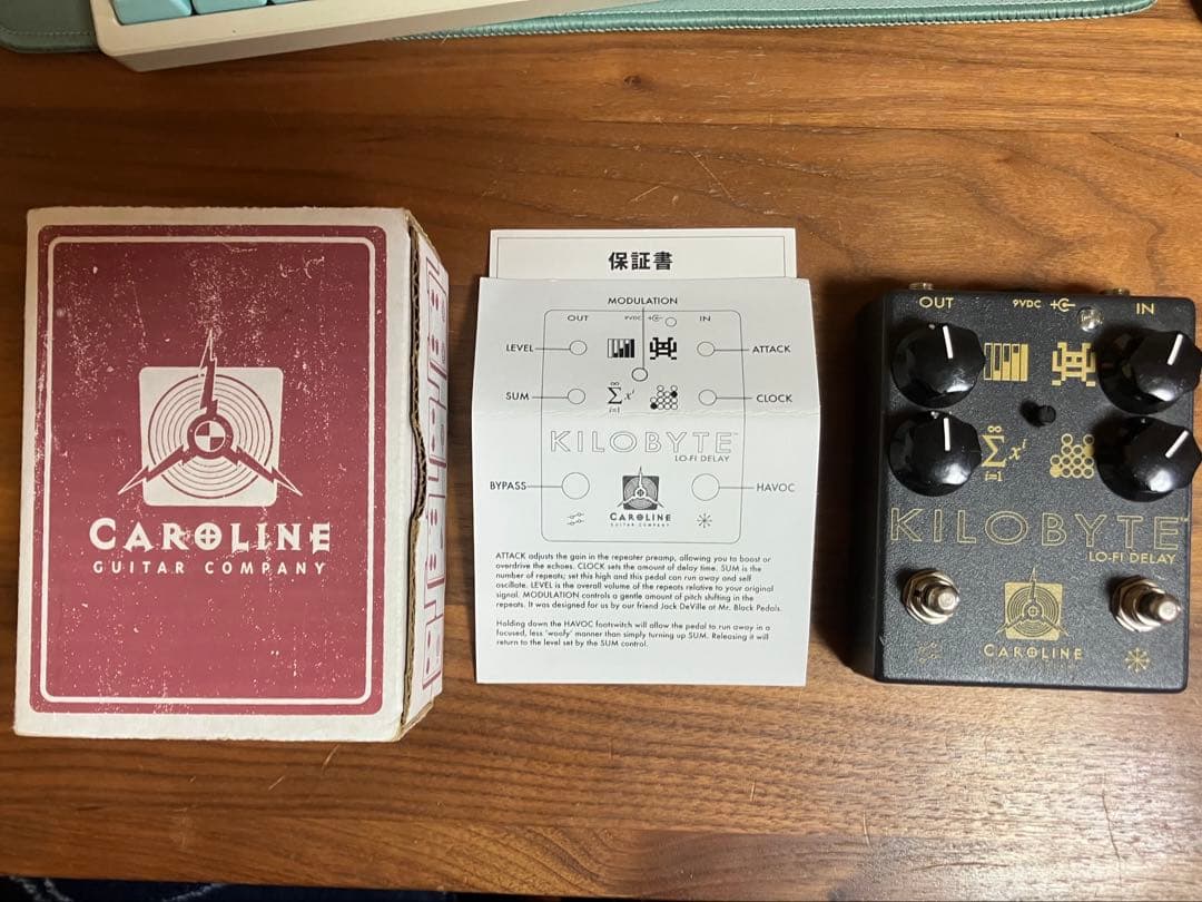 ギター Caroline Kilobyte Lo-Fi Delay