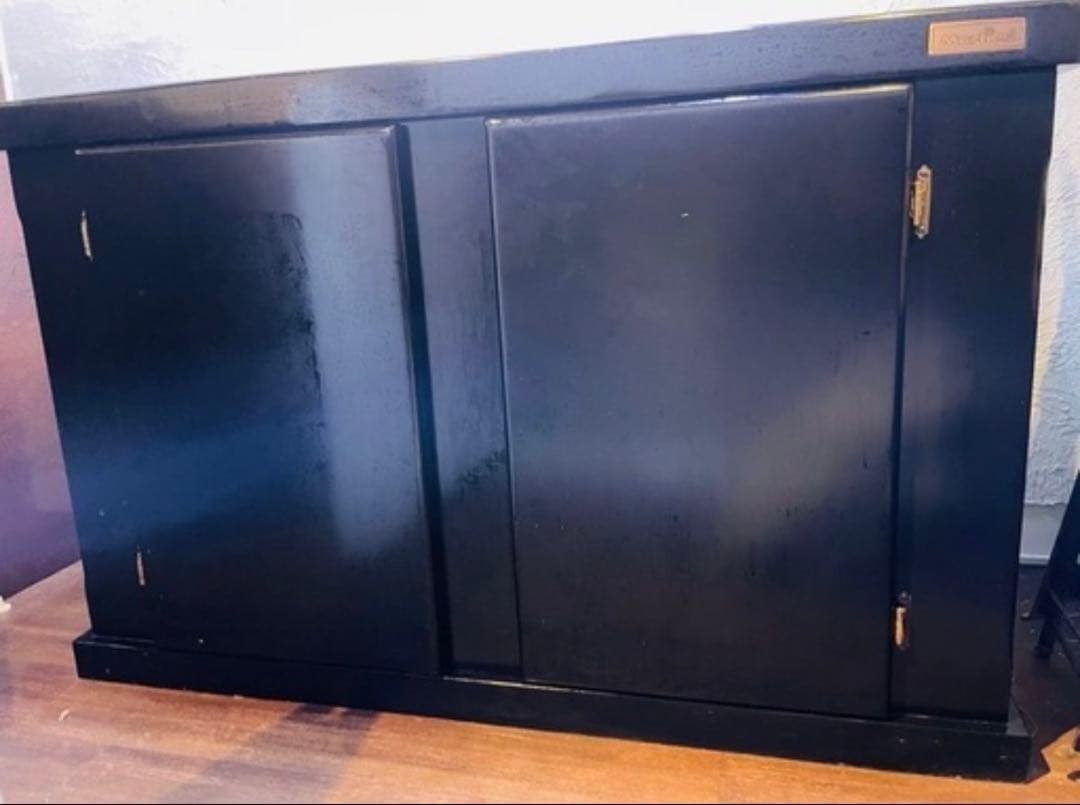 コイ　120cm マーフィード　ウッドキャビ