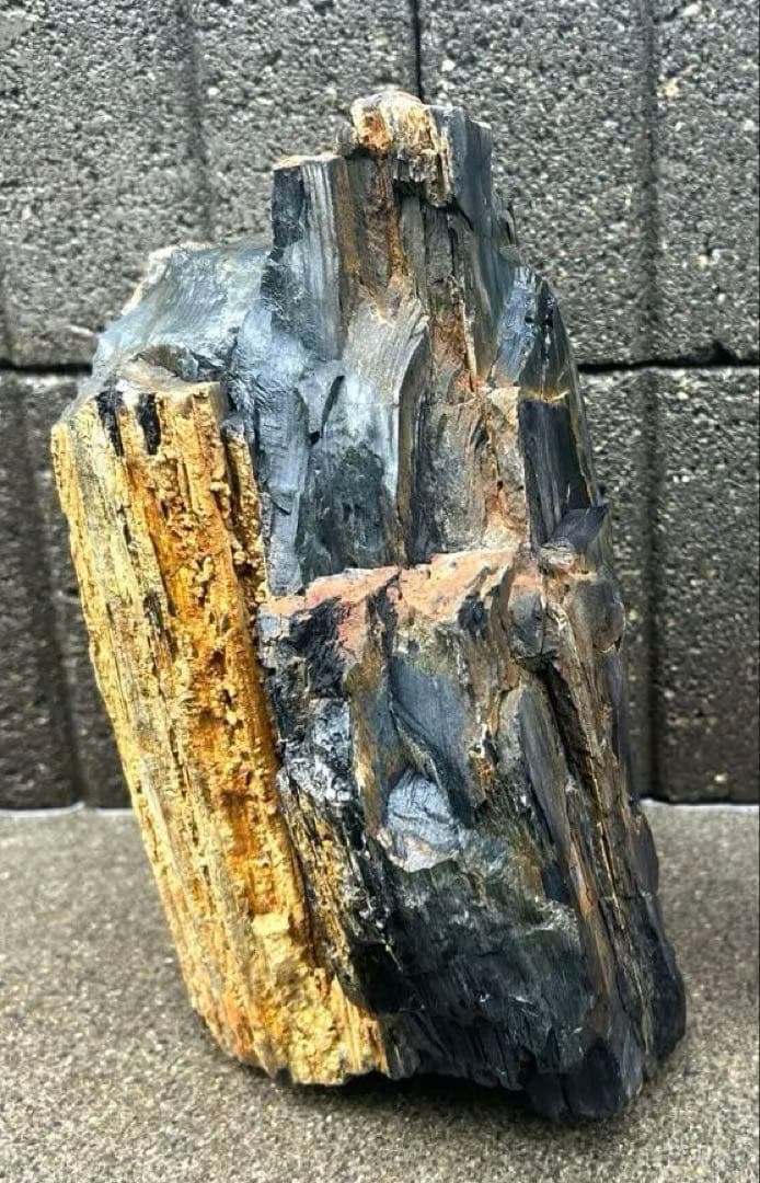 北海道 遠軽瀬戸瀬産 珪化木 5.4kg 特大 木化石 鑑賞石 置物 盆栽 水石