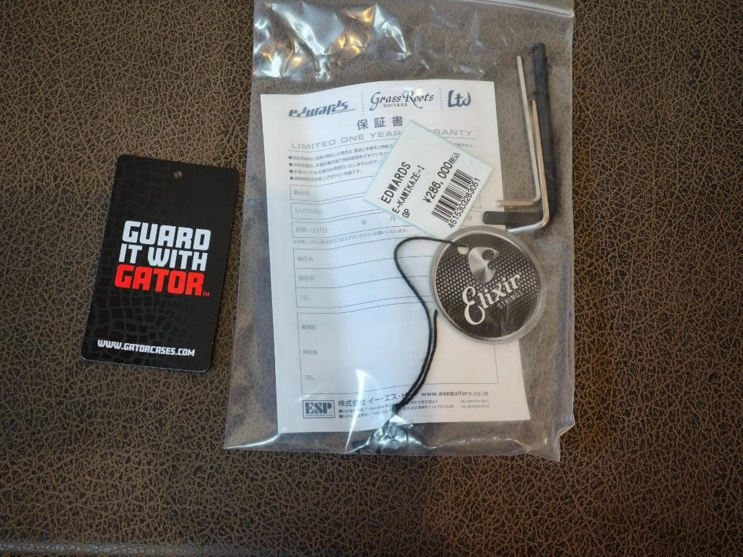 ☆彡EDWARDS E-KAMIKAZE-I ジョージ・リンチモデルとケース