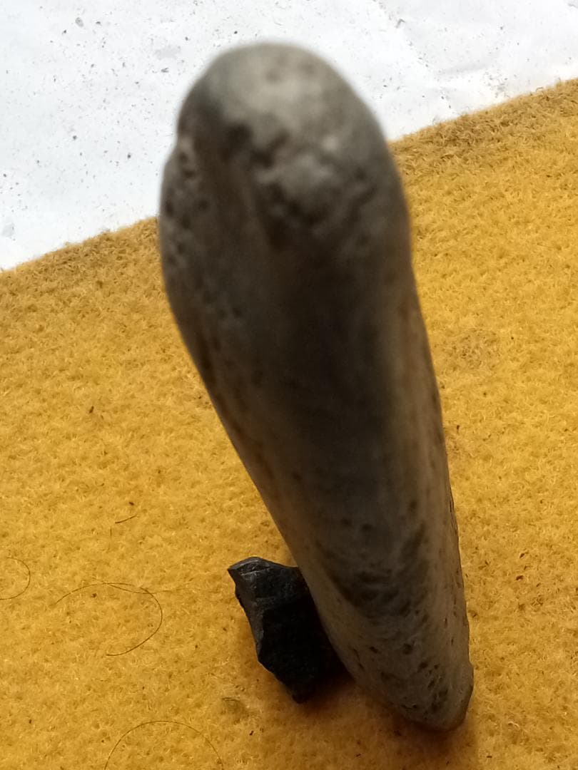 握り槌　出土石斧　石器　縄文時代　新石器時代　変間岩　片岩？　磨製石器　186