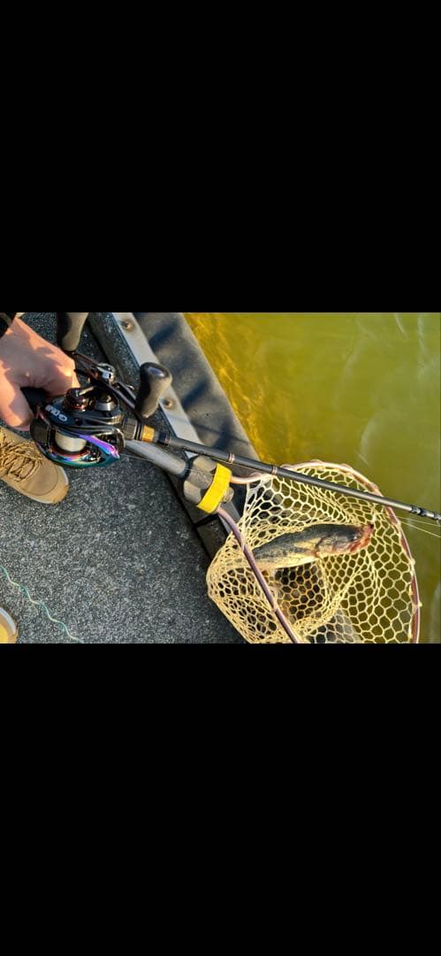 【☆canaria8様☆】