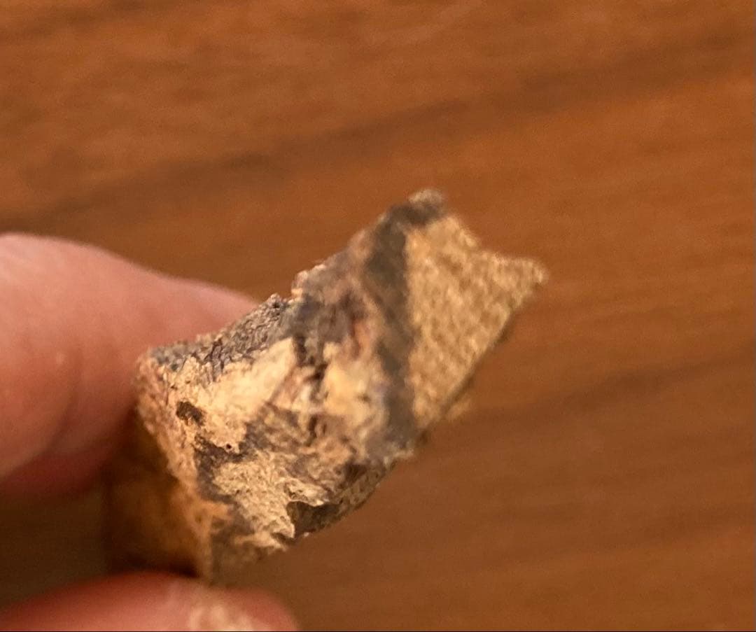 香木　沈香　青タニ　4グラム