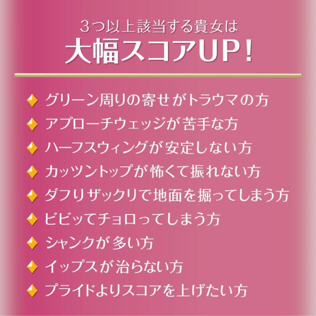 ♥ラクに10打縮まる♥「お助けチッパー」 ダイナミクス ツアーチッパーレディ