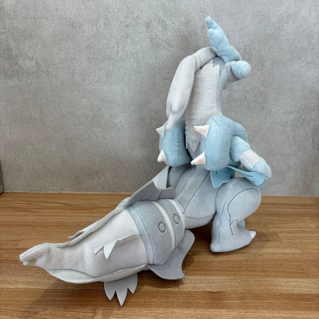 【一点もの/廃盤/2012年】ホワイトキュレム　ブラックキュレム　ポケドール