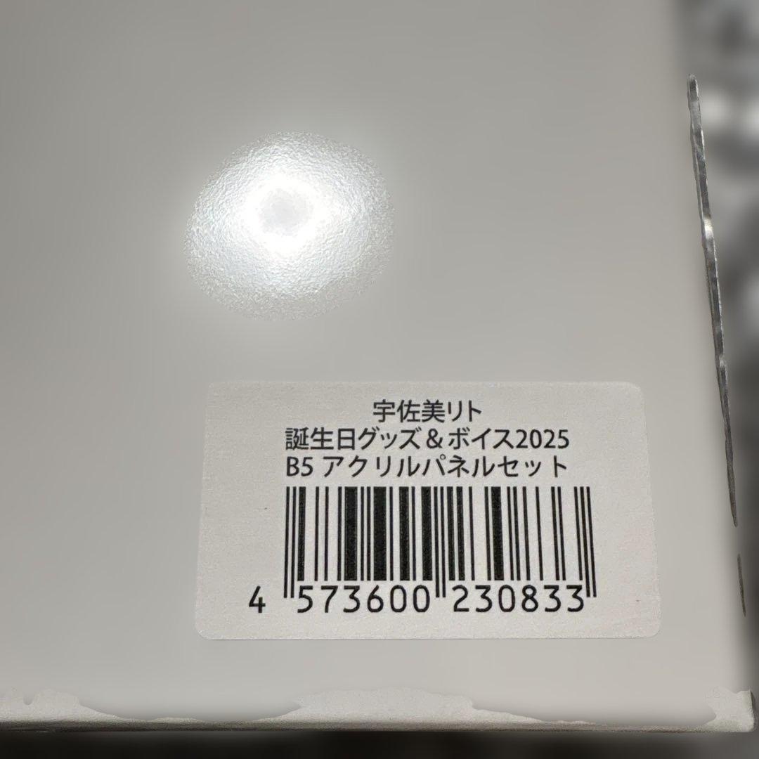 宇佐美リト　2025バースデー　アクリルパネルセット