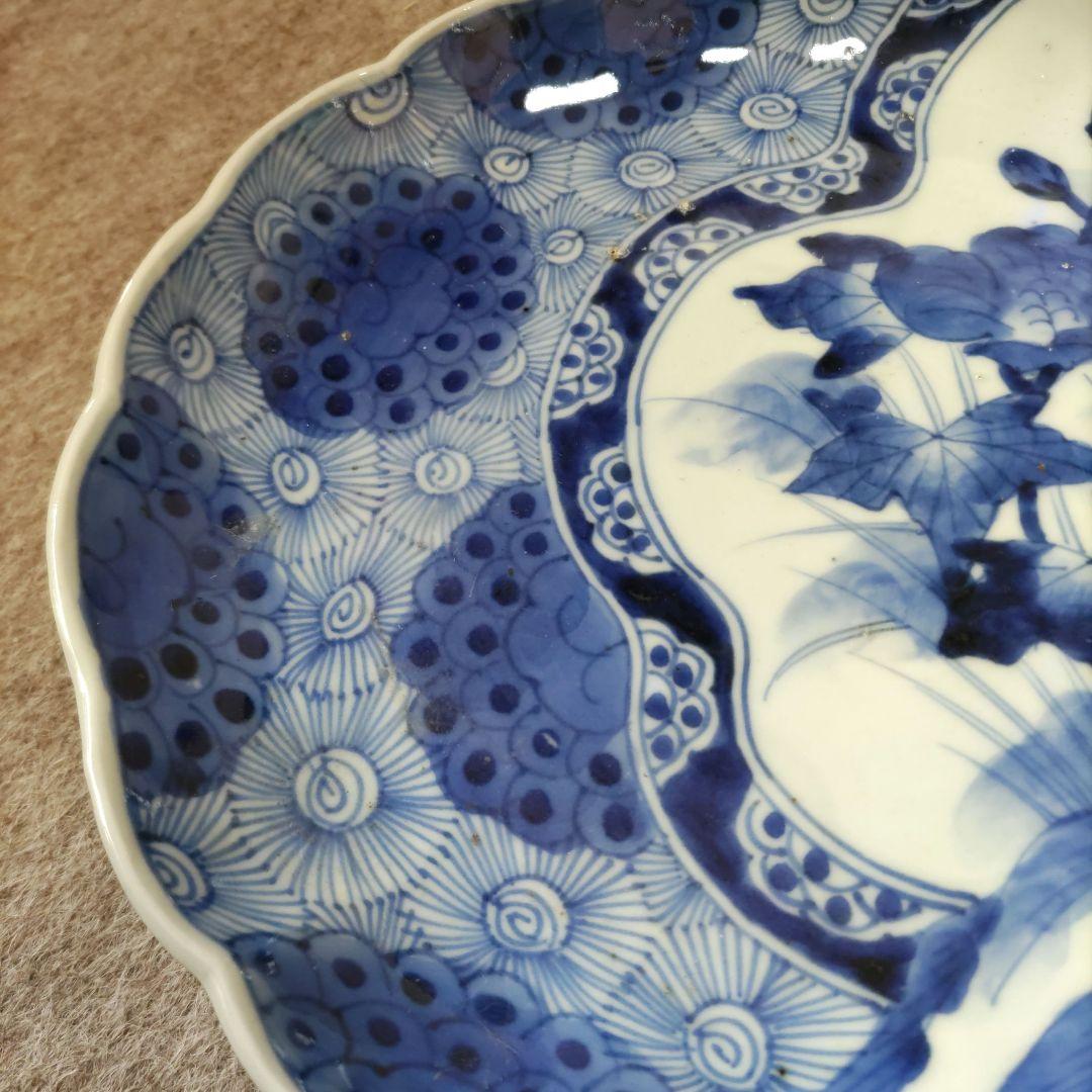 古伊万里　草花図　皿　D536
