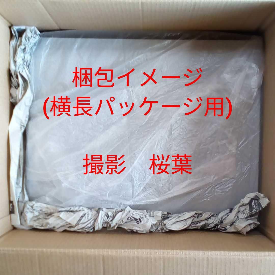 機動戦士ガンダムuc ガンプラ mg ジェスタキャノン　内袋未開封　未組立