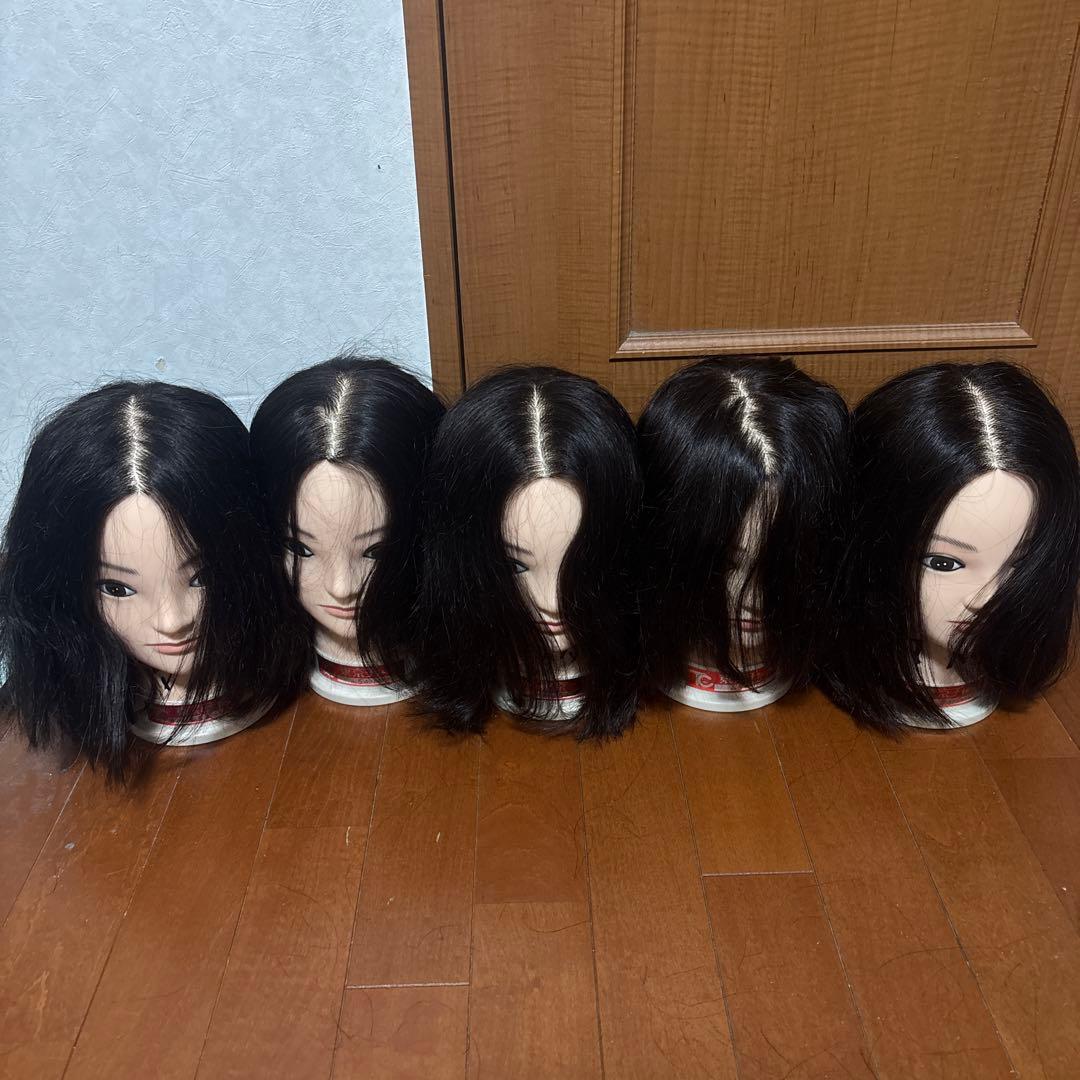 人毛ウィッグ5体セット 東京チャーム カット練習用