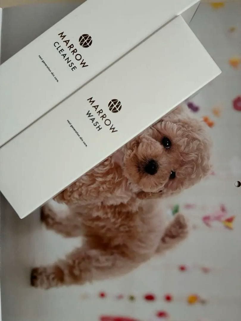 マロウ　クレンジング＆ウォッシュ