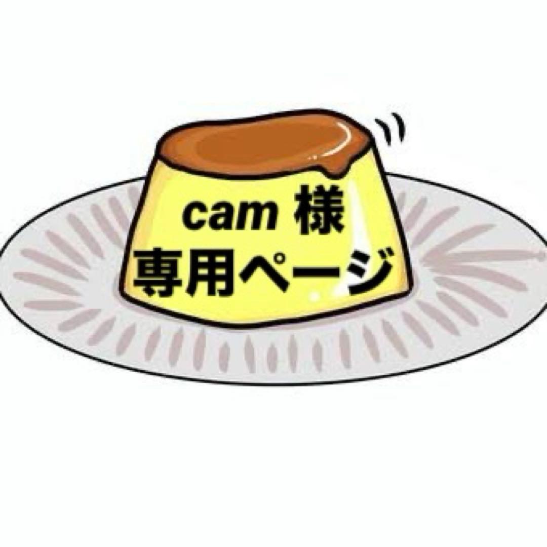 激レア 応援グッズフルセット ダイエーホークスファンクラブ限定 骨董品【超希少】